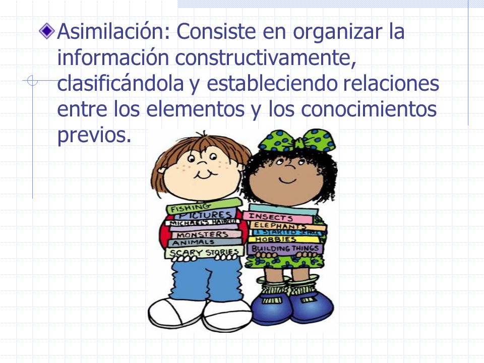 Asimilación: Consiste en organizar la información constructivamente, clasificándola y estableciendo relaciones entre los elementos y los conocimientos previos.