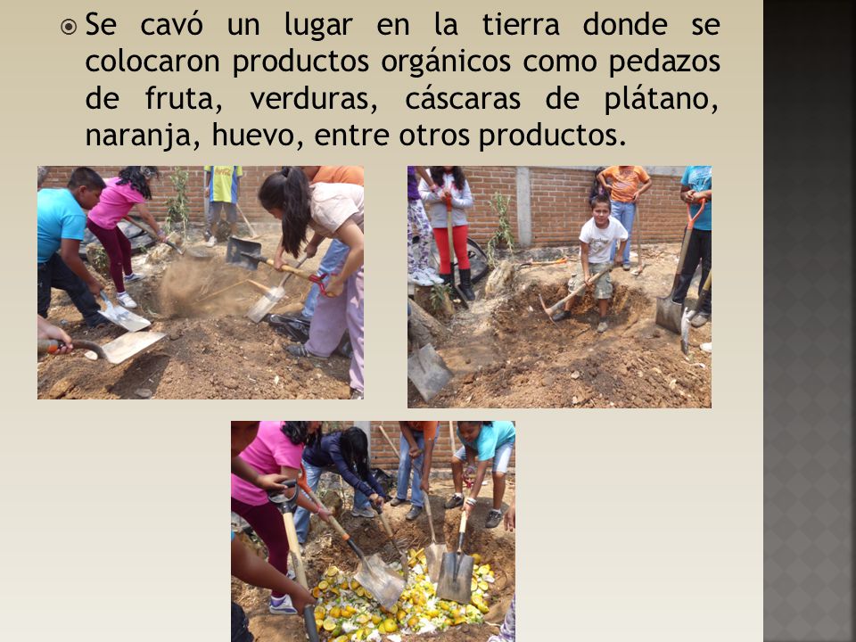 Se cavó un lugar en la tierra donde se colocaron productos orgánicos como pedazos de fruta, verduras, cáscaras de plátano, naranja, huevo, entre otros productos.
