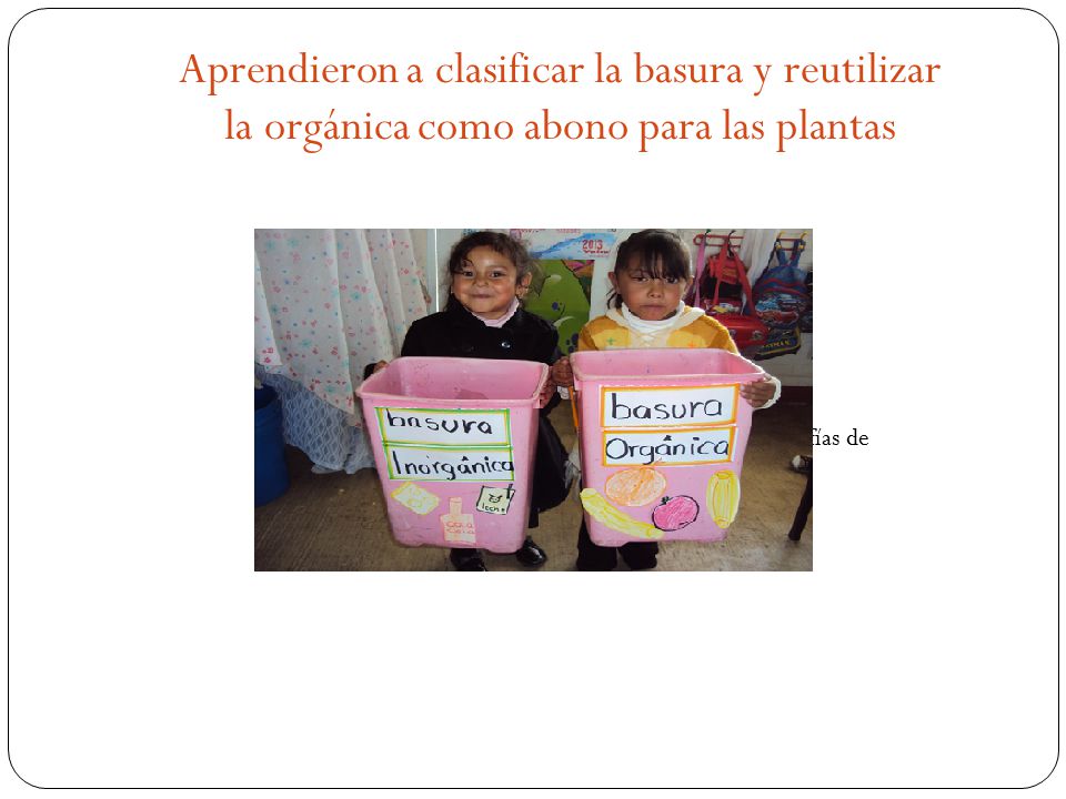 Aprendieron a clasificar la basura y reutilizar la orgánica como abono para las plantas