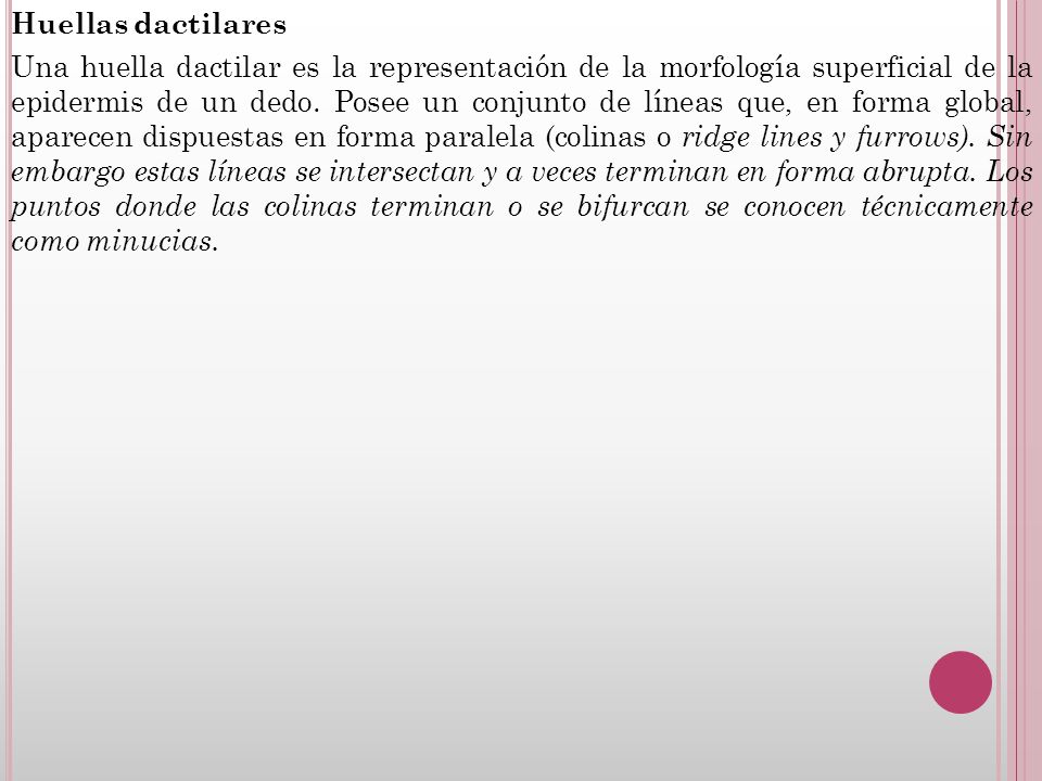 Huellas dactilares Una huella dactilar es la representación de la morfología superficial de la epidermis de un dedo.