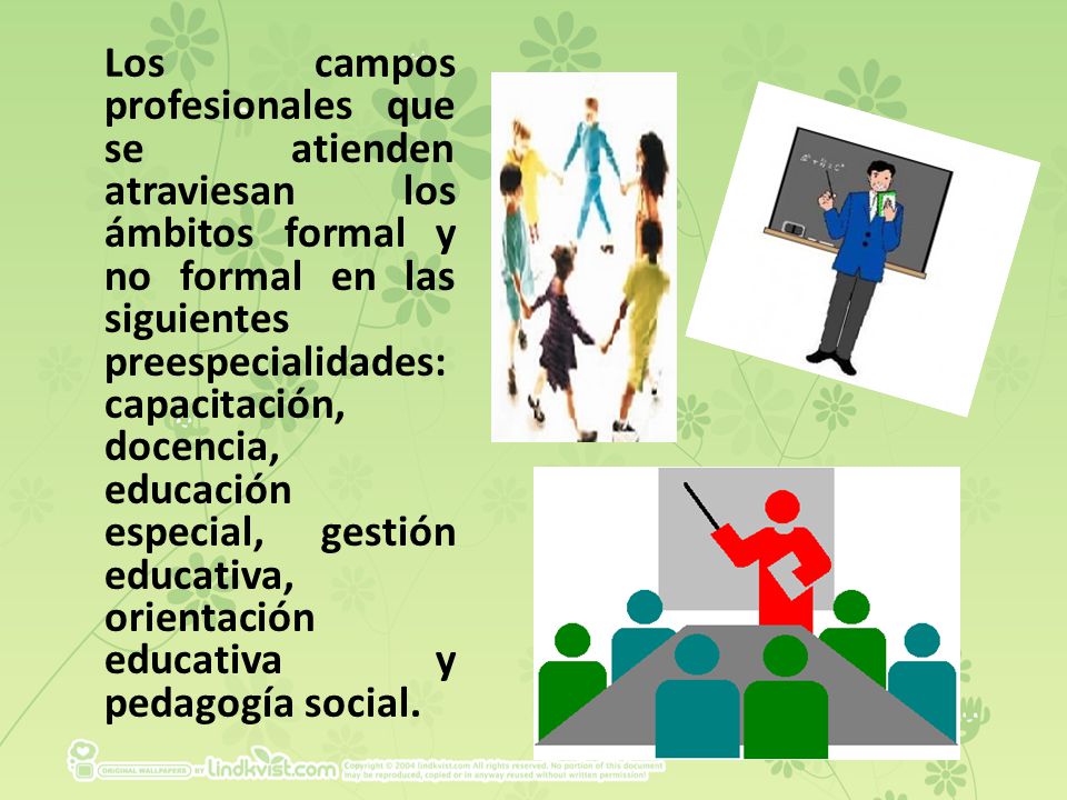 Los campos profesionales que se atienden atraviesan los ámbitos formal y no formal en las siguientes preespecialidades: capacitación, docencia, educación especial, gestión educativa, orientación educativa y pedagogía social.