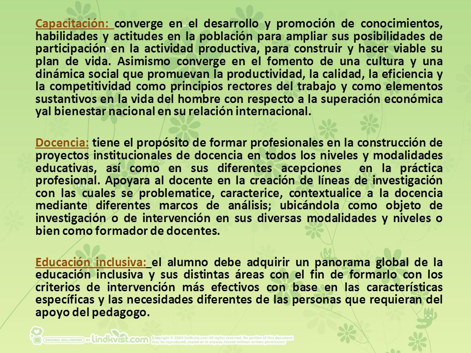 Capacitación: converge en el desarrollo y promoción de conocimientos, habilidades y actitudes en la población para ampliar sus posibilidades de participación en la actividad productiva, para construir y hacer viable su plan de vida. Asimismo converge en el fomento de una cultura y una dinámica social que promuevan la productividad, la calidad, la eficiencia y la competitividad como principios rectores del trabajo y como elementos sustantivos en la vida del hombre con respecto a la superación económica yal bienestar nacional en su relación internacional.
