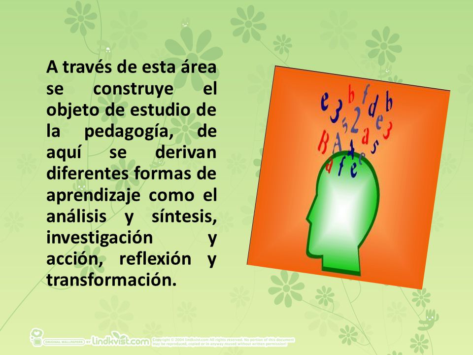 A través de esta área se construye el objeto de estudio de la pedagogía, de aquí se derivan diferentes formas de aprendizaje como el análisis y síntesis, investigación y acción, reflexión y transformación.