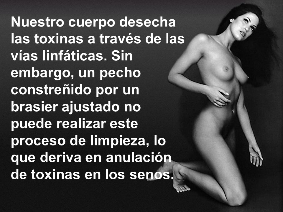 Nuestro cuerpo desecha las toxinas a través de las vías linfáticas