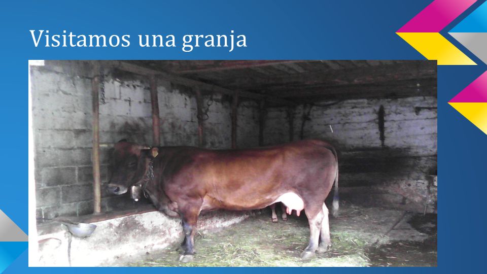 Visitamos una granja v