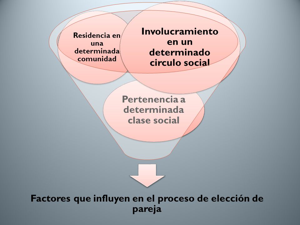 Factores que influyen en el proceso de elección de pareja