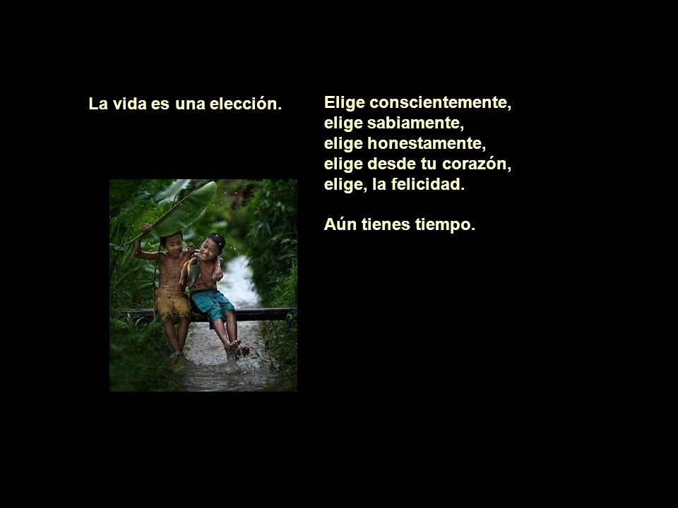 La vida es una elección. Elige conscientemente, elige sabiamente, elige honestamente, elige desde tu corazón, elige, la felicidad.