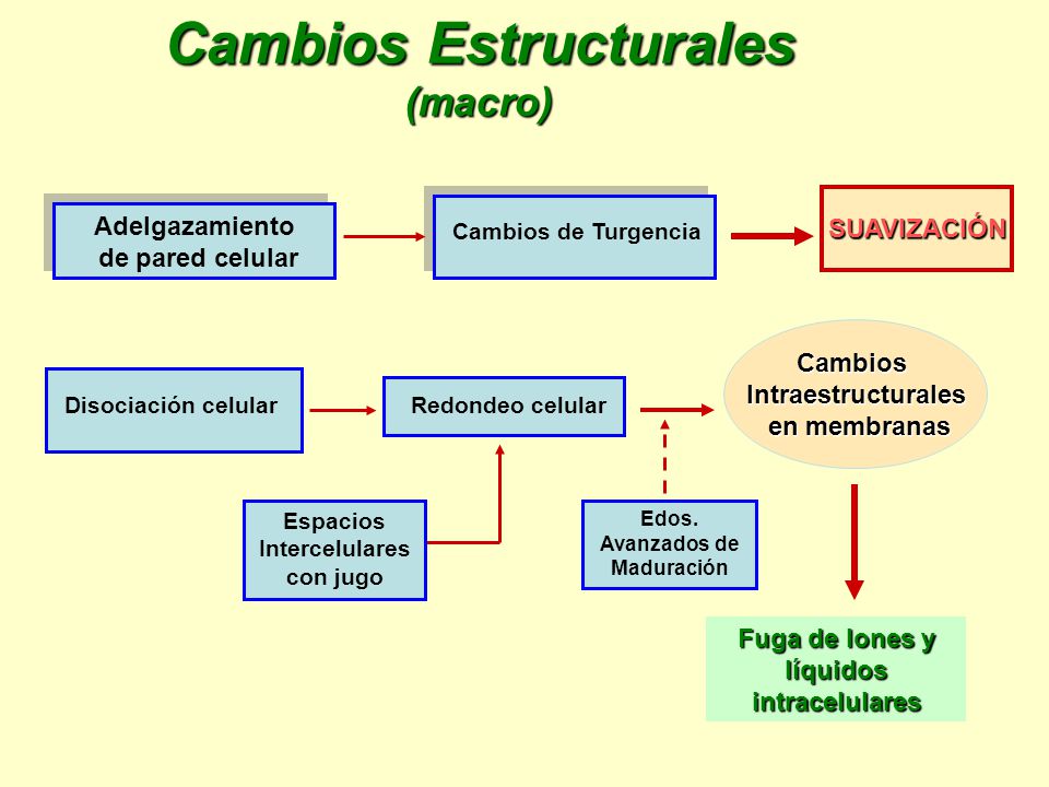 Cambios Estructurales (macro)