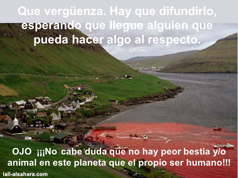 Que vergüenza. Hay que difundirlo, esperando que llegue alguien que pueda hacer algo al respecto.