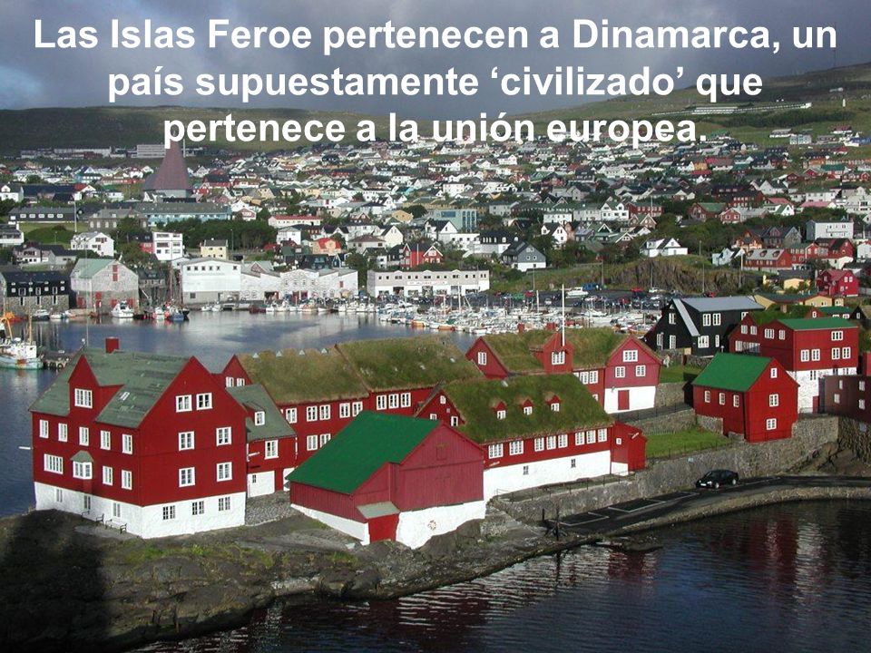 Las Islas Feroe pertenecen a Dinamarca, un país supuestamente ‘civilizado’ que pertenece a la unión europea.