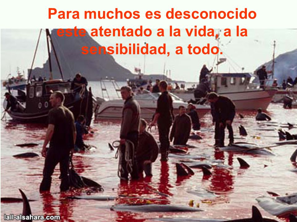 Para muchos es desconocido este atentado a la vida, a la sensibilidad, a todo.