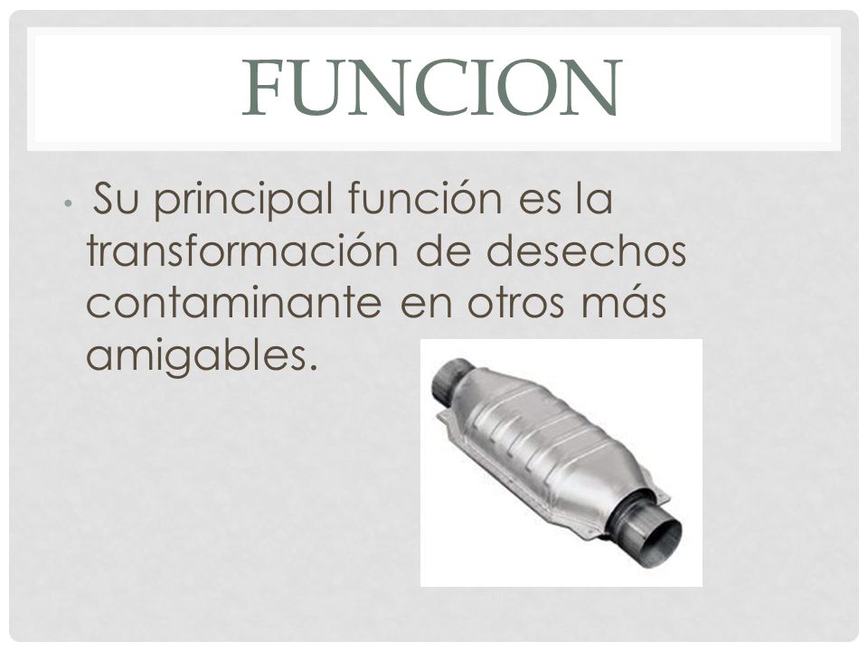 FUNCION Su principal función es la transformación de desechos contaminante en otros más amigables.