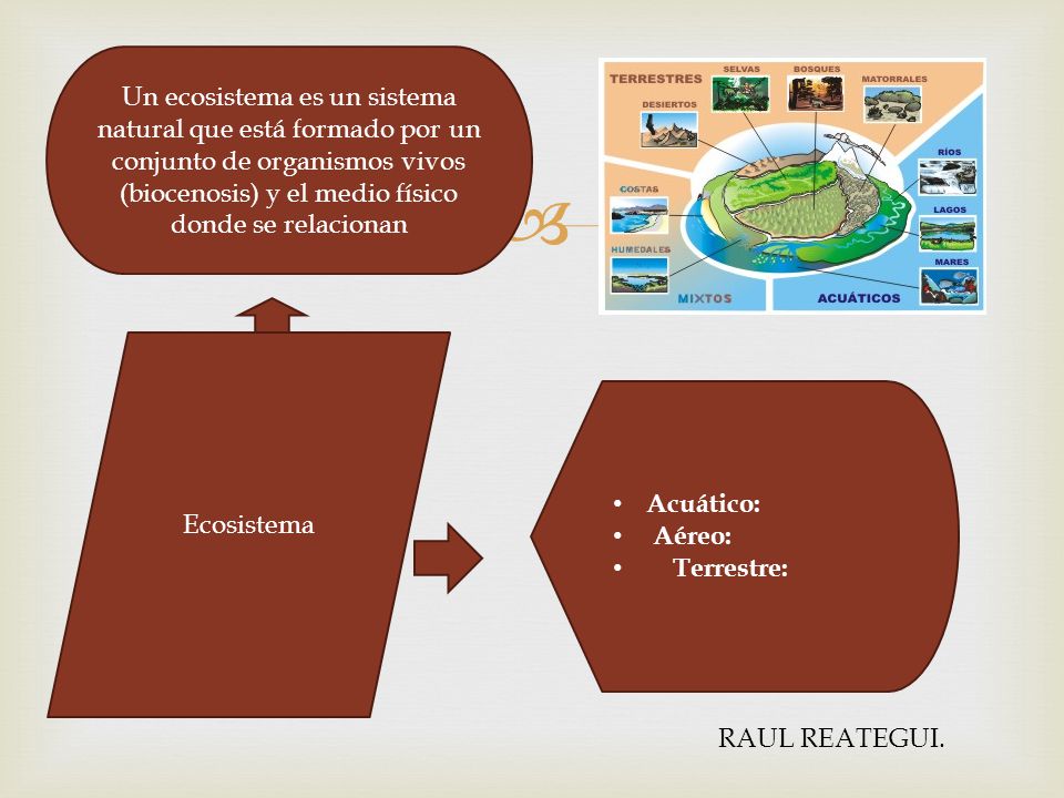 Un ecosistema es un sistema natural que está formado por un conjunto de organismos vivos (biocenosis) y el medio físico donde se relacionan