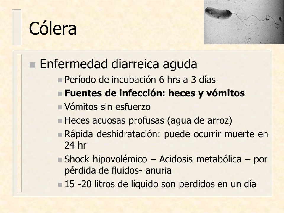 Cólera Enfermedad diarreica aguda Período de incubación 6 hrs a 3 días