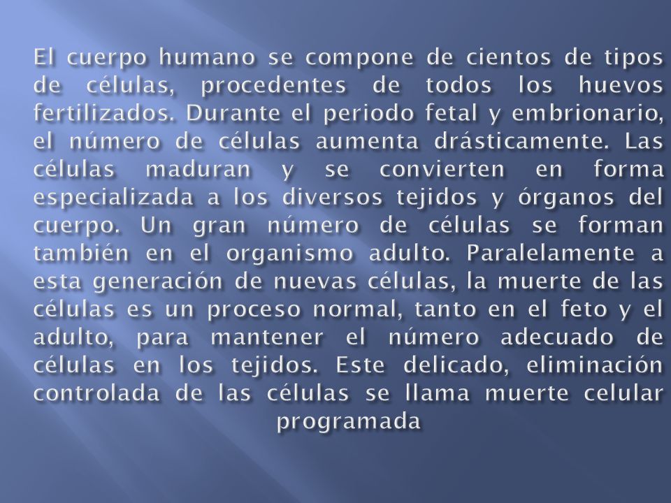 El cuerpo humano se compone de cientos de tipos de células, procedentes de todos los huevos fertilizados.