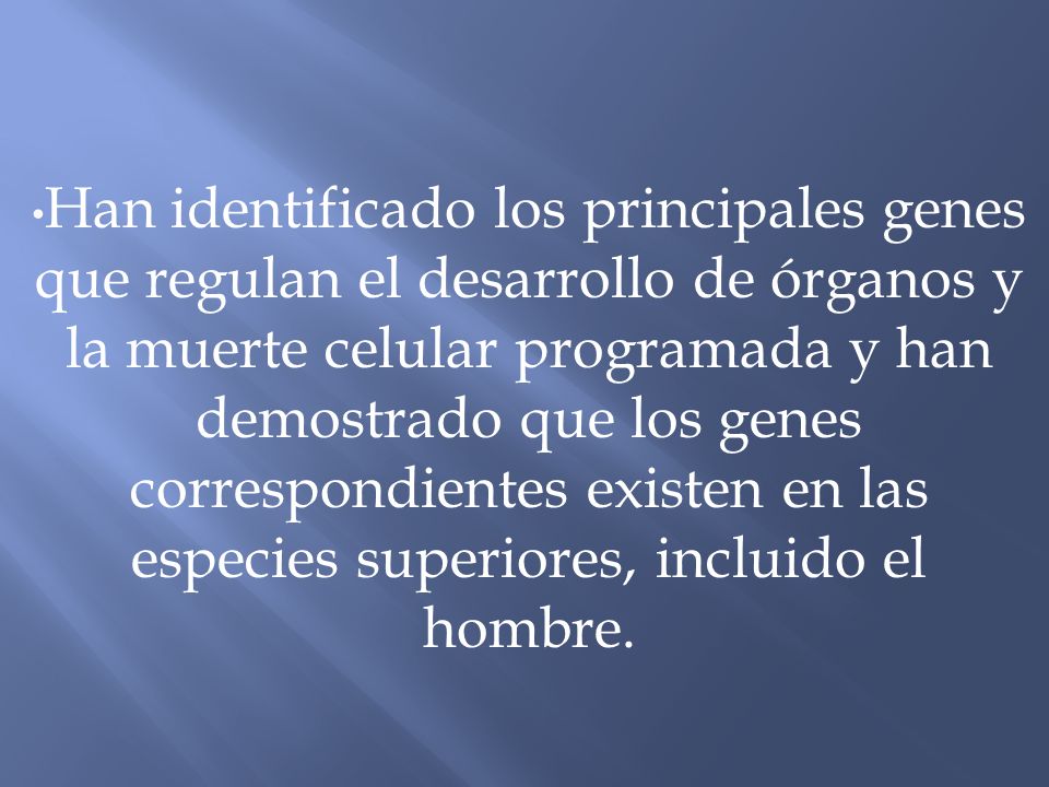 Han identificado los principales genes que regulan el desarrollo de órganos y la muerte celular programada y han demostrado que los genes correspondientes existen en las especies superiores, incluido el hombre.