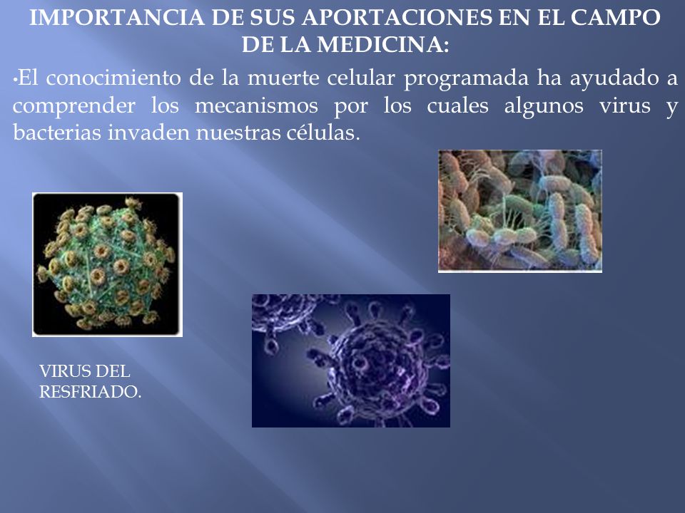 IMPORTANCIA DE SUS APORTACIONES EN EL CAMPO DE LA MEDICINA: