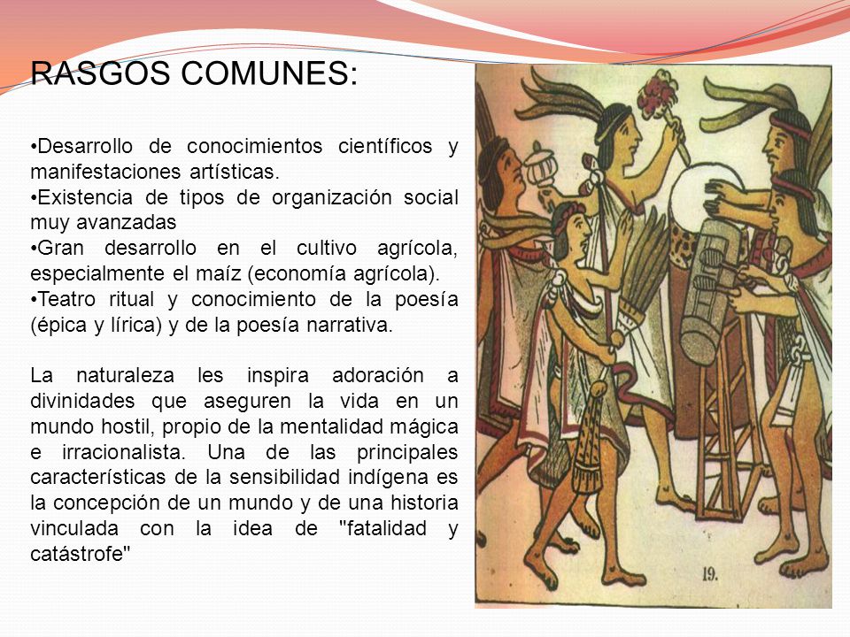 RASGOS COMUNES: Desarrollo de conocimientos científicos y manifestaciones artísticas. Existencia de tipos de organización social muy avanzadas.