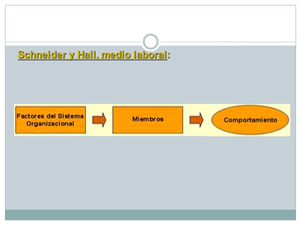 Schneider y Hall, medio laboral: