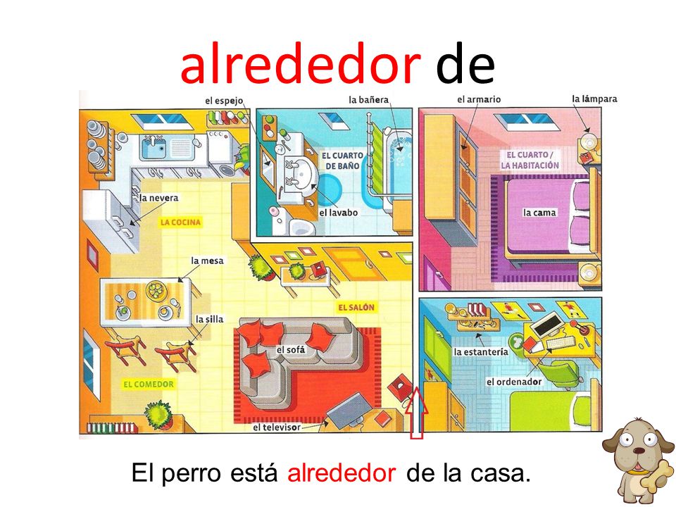 alrededor de El perro está alrededor de la casa.