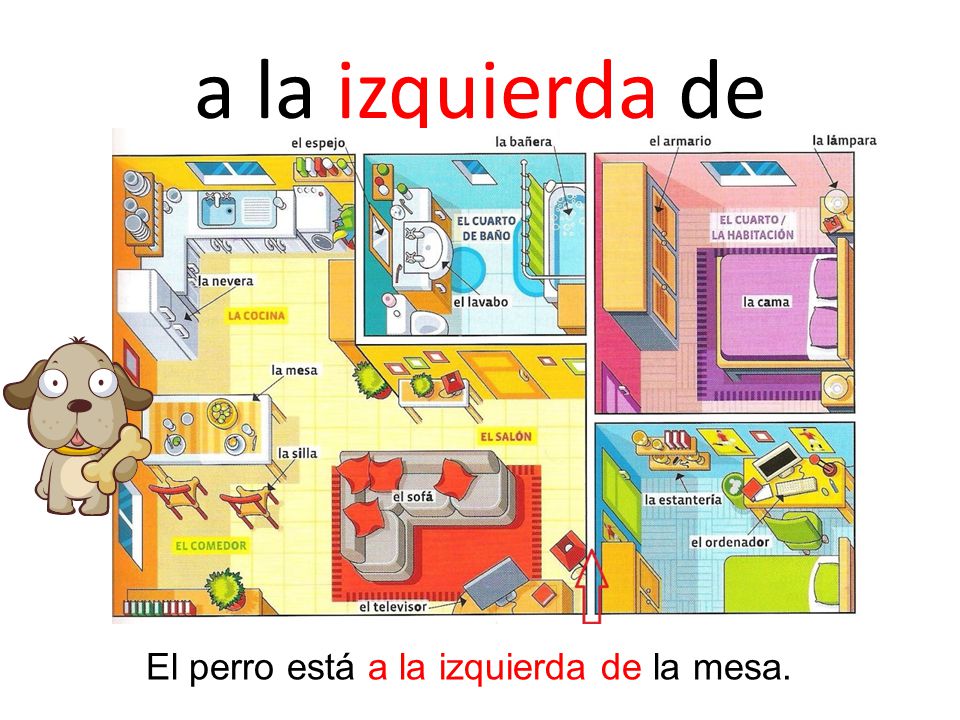 a la izquierda de El perro está a la izquierda de la mesa.