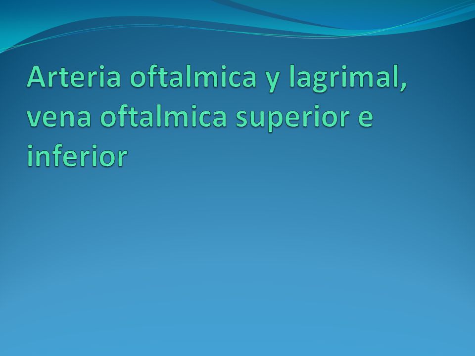 Arteria oftalmica y lagrimal, vena oftalmica superior e inferior