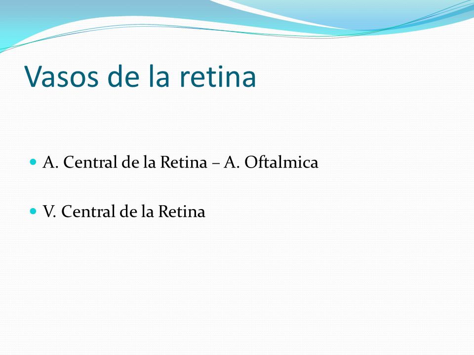 Vasos de la retina A. Central de la Retina – A. Oftalmica