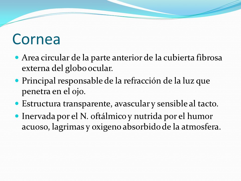 Cornea Area circular de la parte anterior de la cubierta fibrosa externa del globo ocular.