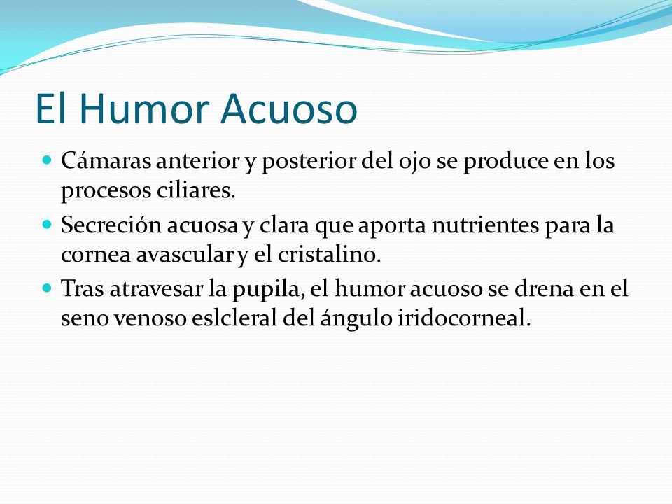 El Humor Acuoso Cámaras anterior y posterior del ojo se produce en los procesos ciliares.