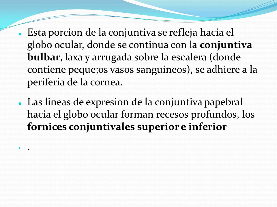 Esta porcion de la conjuntiva se refleja hacia el globo ocular, donde se continua con la conjuntiva bulbar, laxa y arrugada sobre la escalera (donde contiene peque;os vasos sanguineos), se adhiere a la periferia de la cornea.
