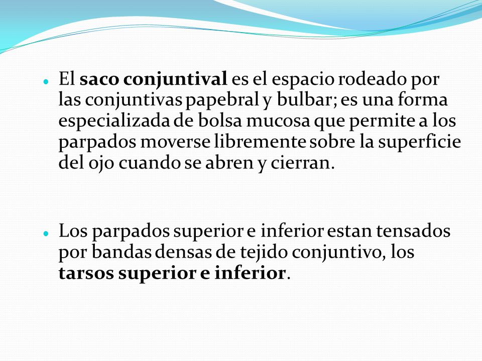 El saco conjuntival es el espacio rodeado por las conjuntivas papebral y bulbar; es una forma especializada de bolsa mucosa que permite a los parpados moverse libremente sobre la superficie del ojo cuando se abren y cierran.