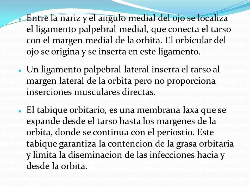 Entre la nariz y el angulo medial del ojo se localiza el ligamento palpebral medial, que conecta el tarso con el margen medial de la orbita. El orbicular del ojo se origina y se inserta en este ligamento.