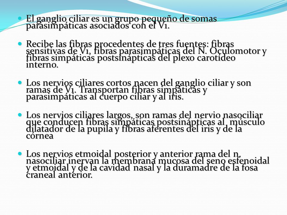 El ganglio ciliar es un grupo pequeño de somas parasimpáticas asociados con el V1.