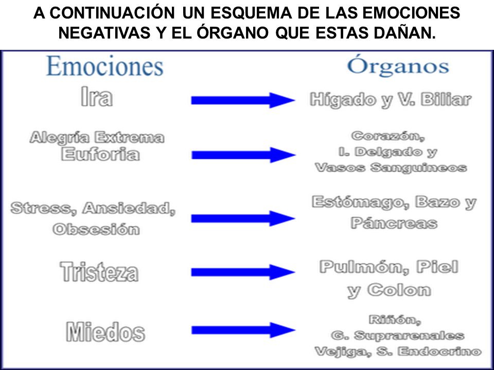 A CONTINUACIÓN UN ESQUEMA DE LAS EMOCIONES NEGATIVAS Y EL ÓRGANO QUE ESTAS DAÑAN.