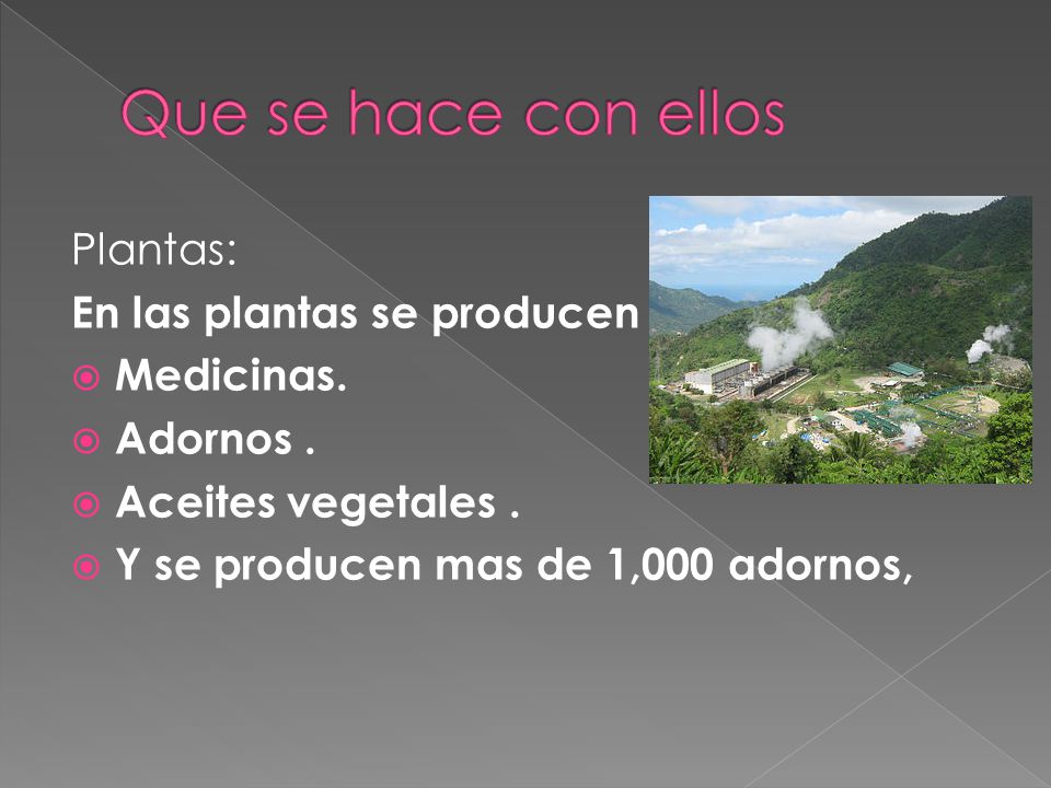 Que se hace con ellos Plantas: En las plantas se producen : Medicinas.