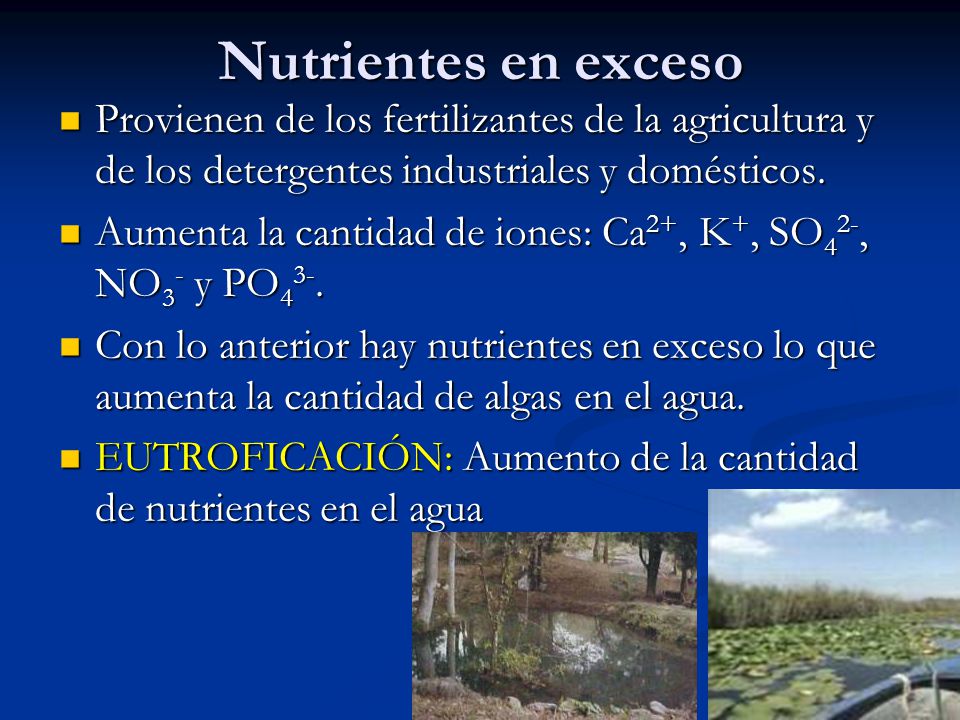 Nutrientes en exceso Provienen de los fertilizantes de la agricultura y de los detergentes industriales y domésticos.
