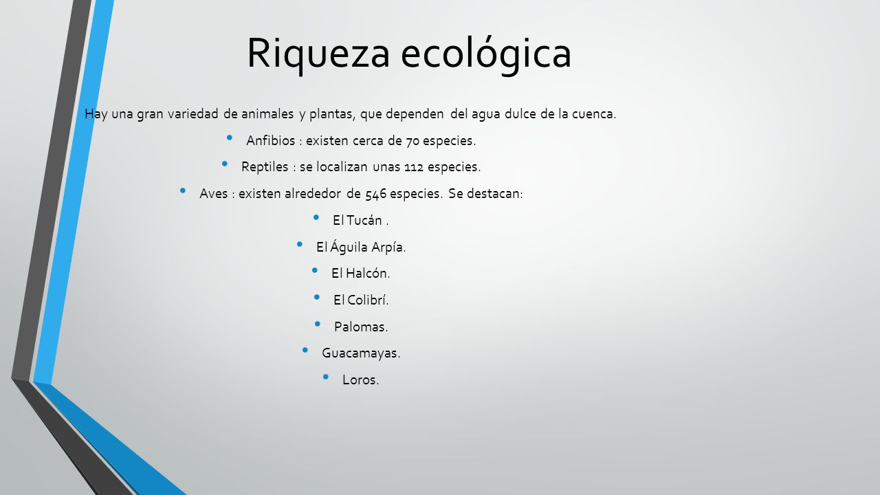 Riqueza ecológica Hay una gran variedad de animales y plantas, que dependen del agua dulce de la cuenca.