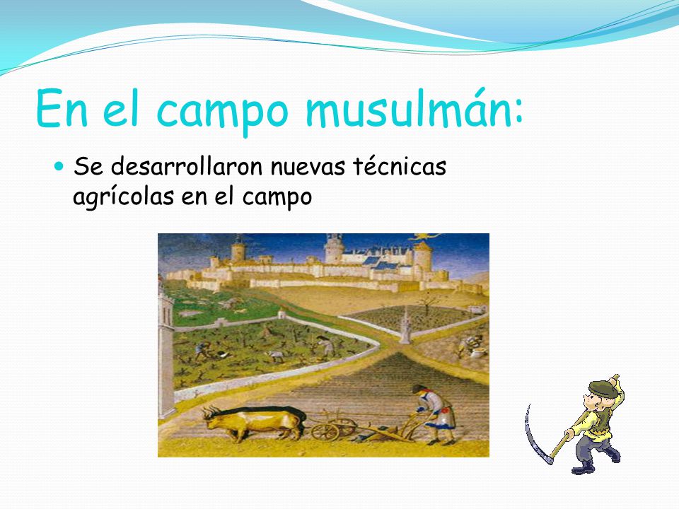 En el campo musulmán: Se desarrollaron nuevas técnicas agrícolas en el campo