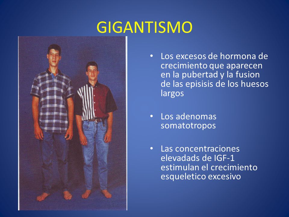 GIGANTISMO Los excesos de hormona de crecimiento que aparecen en la pubertad y la fusion de las episisis de los huesos largos.