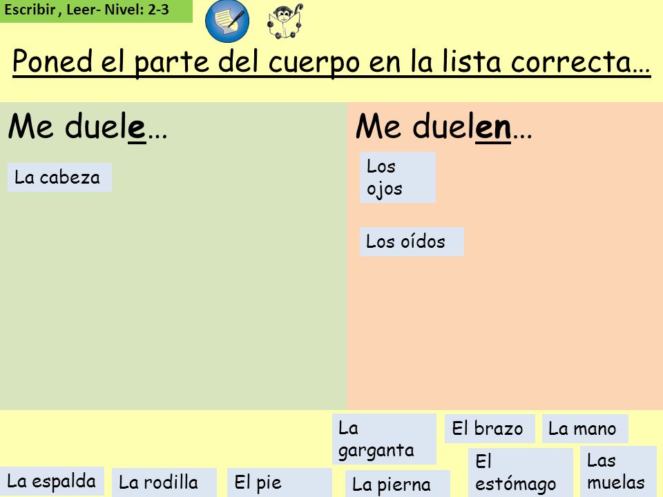 Poned el parte del cuerpo en la lista correcta…