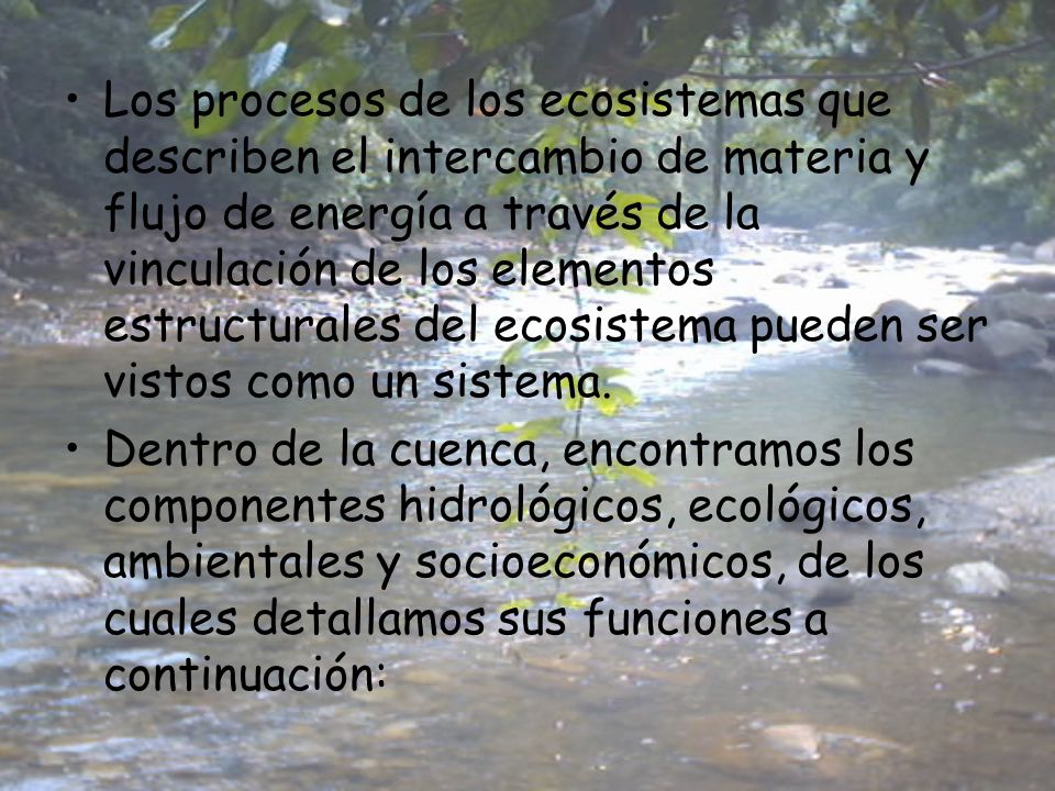 Los procesos de los ecosistemas que describen el intercambio de materia y flujo de energía a través de la vinculación de los elementos estructurales del ecosistema pueden ser vistos como un sistema.
