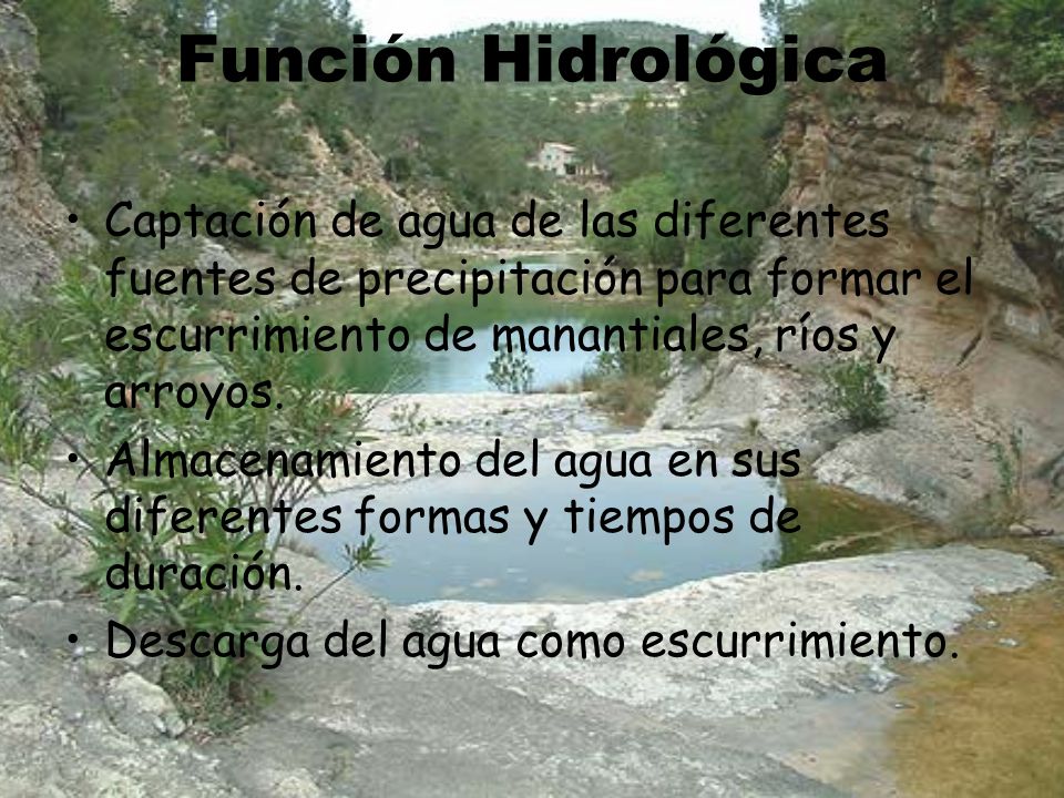 Función Hidrológica Captación de agua de las diferentes fuentes de precipitación para formar el escurrimiento de manantiales, ríos y arroyos.
