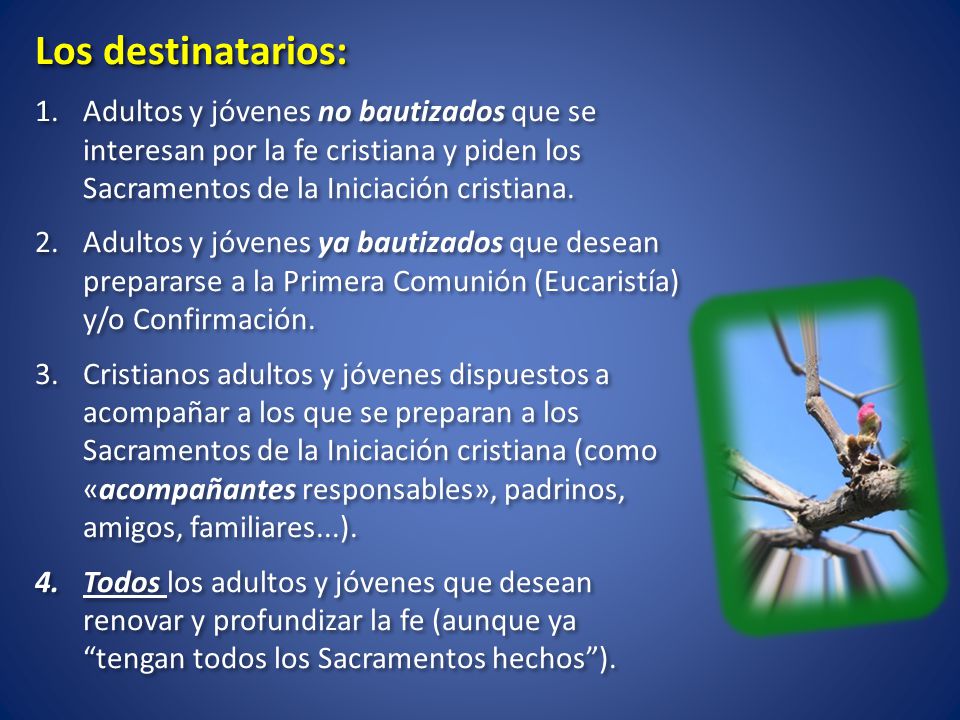 Los destinatarios: Adultos y jóvenes no bautizados que se interesan por la fe cristiana y piden los Sacramentos de la Iniciación cristiana.