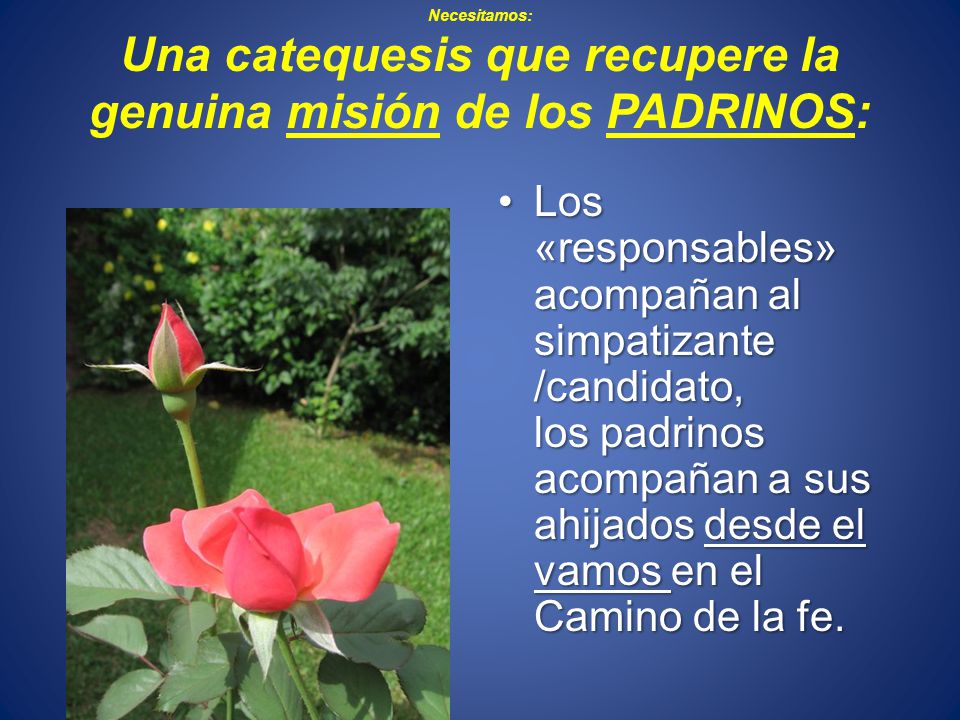 Necesitamos: Una catequesis que recupere la genuina misión de los PADRINOS: