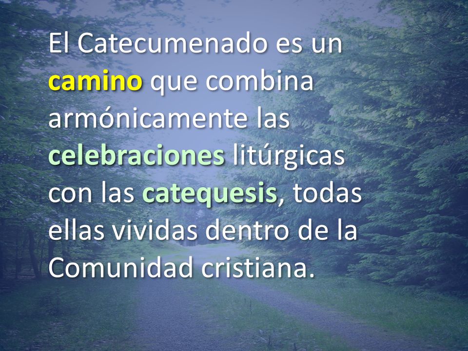 El Catecumenado es un camino que combina armónicamente las celebraciones litúrgicas con las catequesis, todas ellas vividas dentro de la Comunidad cristiana.