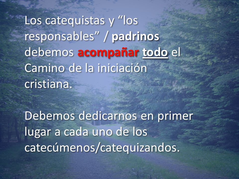 Los catequistas y los responsables / padrinos debemos acompañar todo el Camino de la iniciación cristiana.