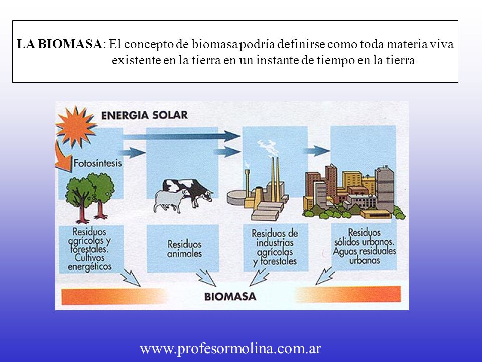 existente en la tierra en un instante de tiempo en la tierra