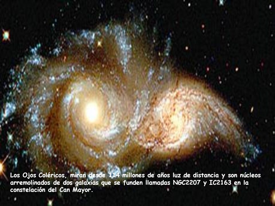 Los Ojos Coléricos, miran desde 114 millones de años luz de distancia y son núcleos arremolinados de dos galaxias que se funden llamadas NGC2207 y IC2163 en la constelación del Can Mayor.