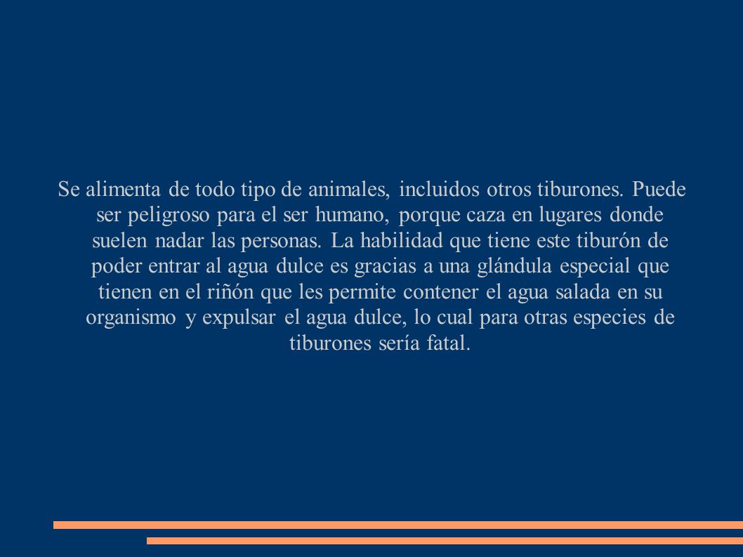 Se alimenta de todo tipo de animales, incluidos otros tiburones