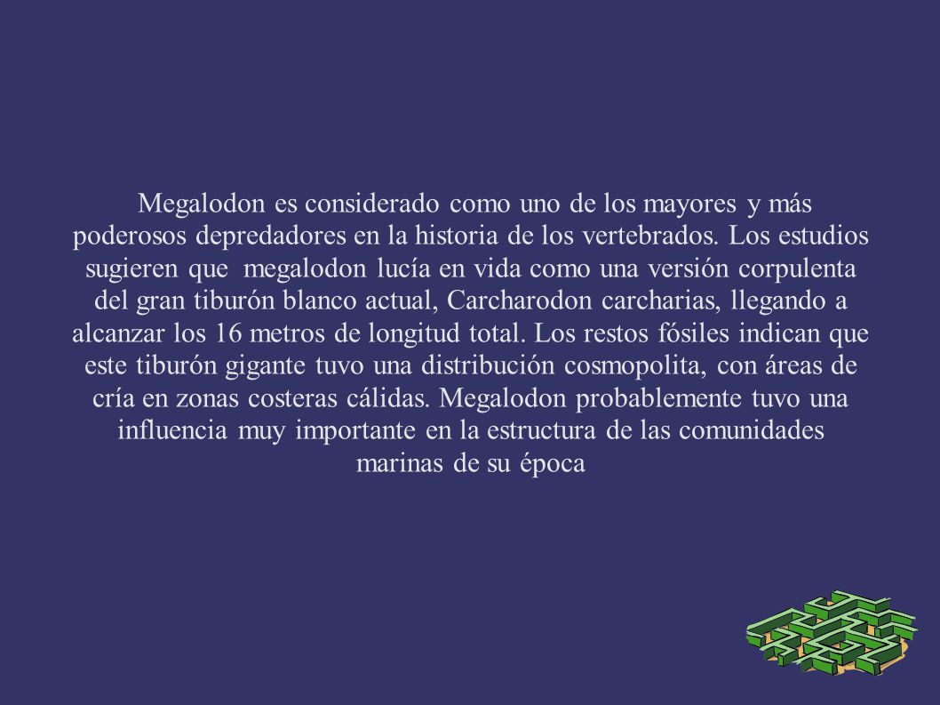 Megalodon es considerado como uno de los mayores y más poderosos depredadores en la historia de los vertebrados.